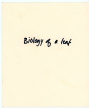 Back-img025