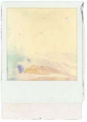 img135